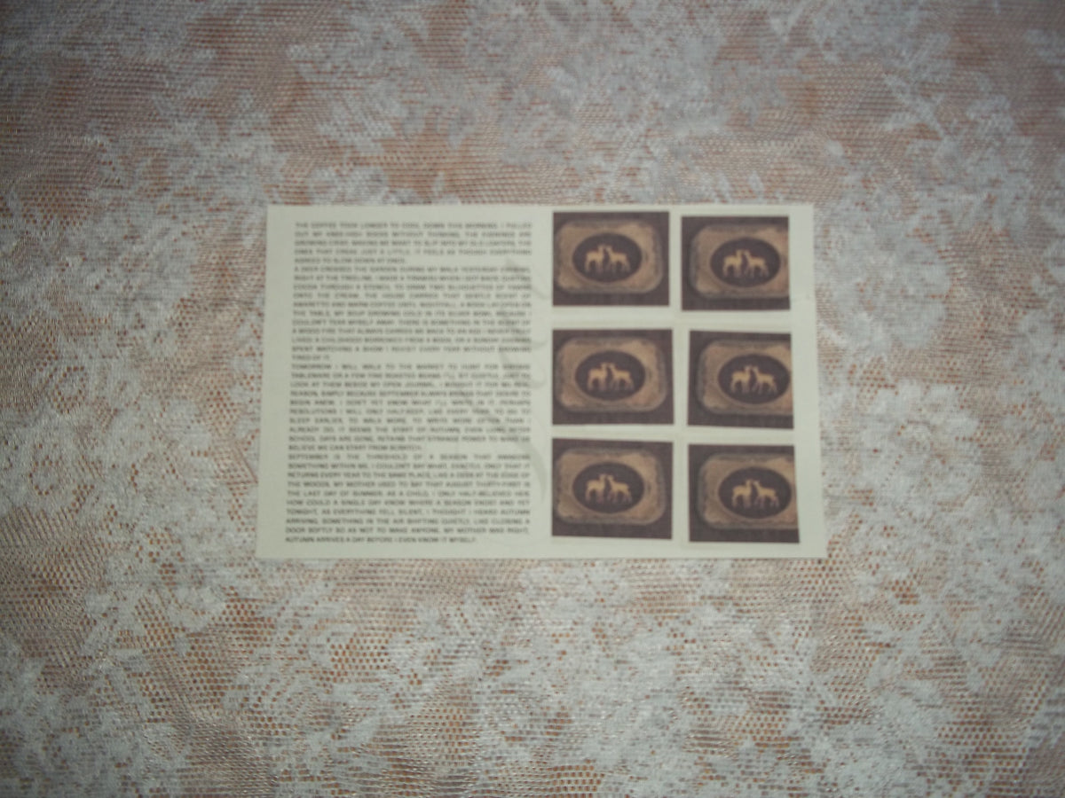 Snail Mail Club - abonnement mensuel